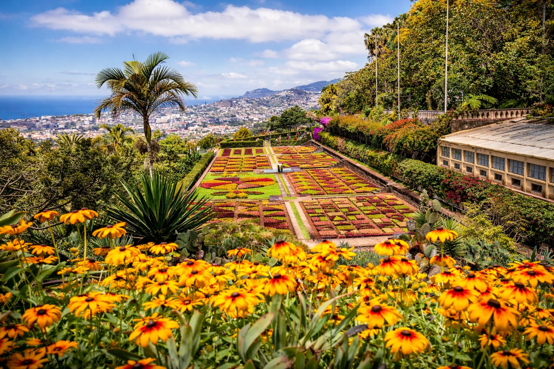 Botanical Gardens Tuk Tuk tour in Madeira