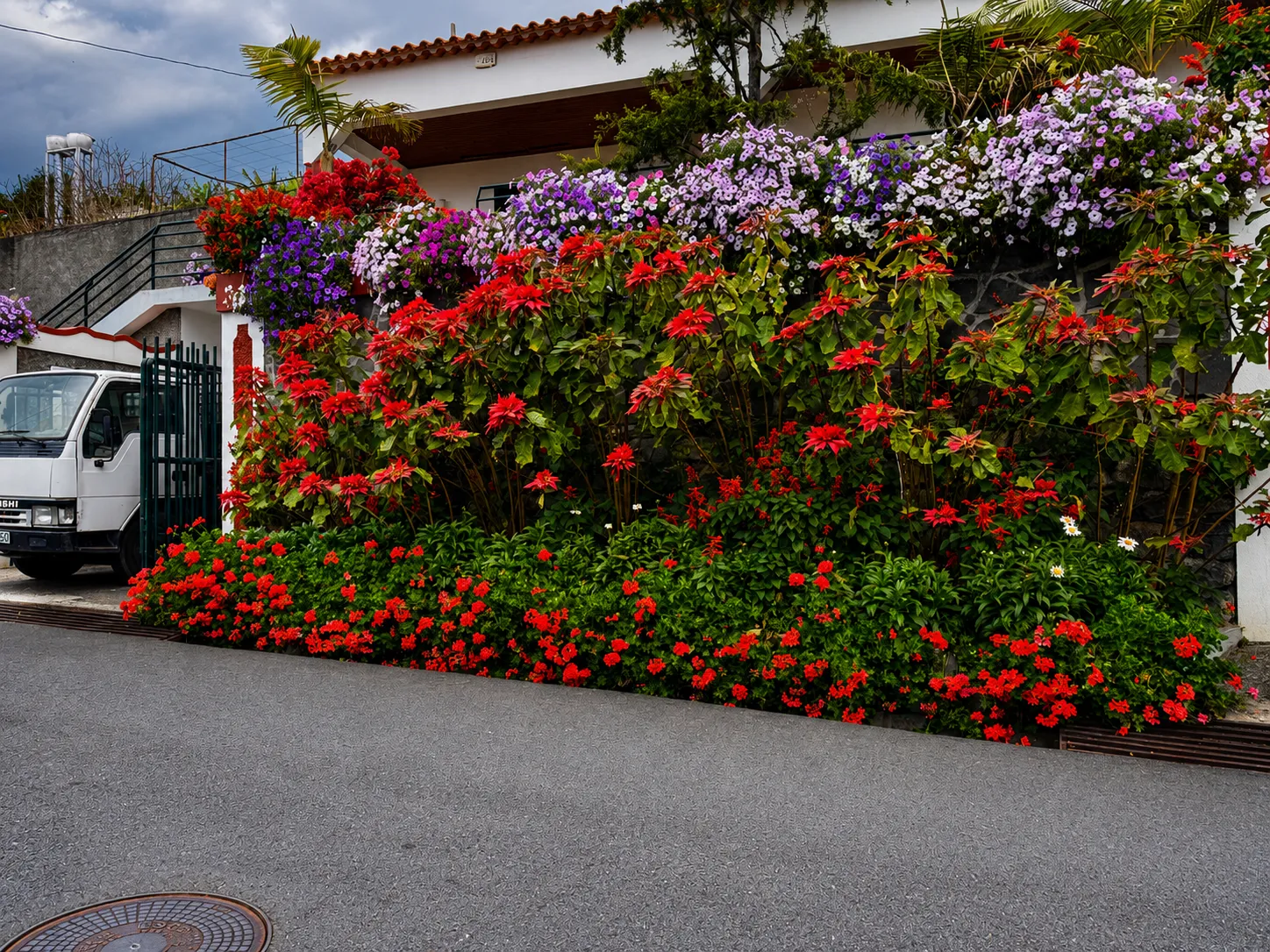 Flower House — Volcanic Village & Church Hill