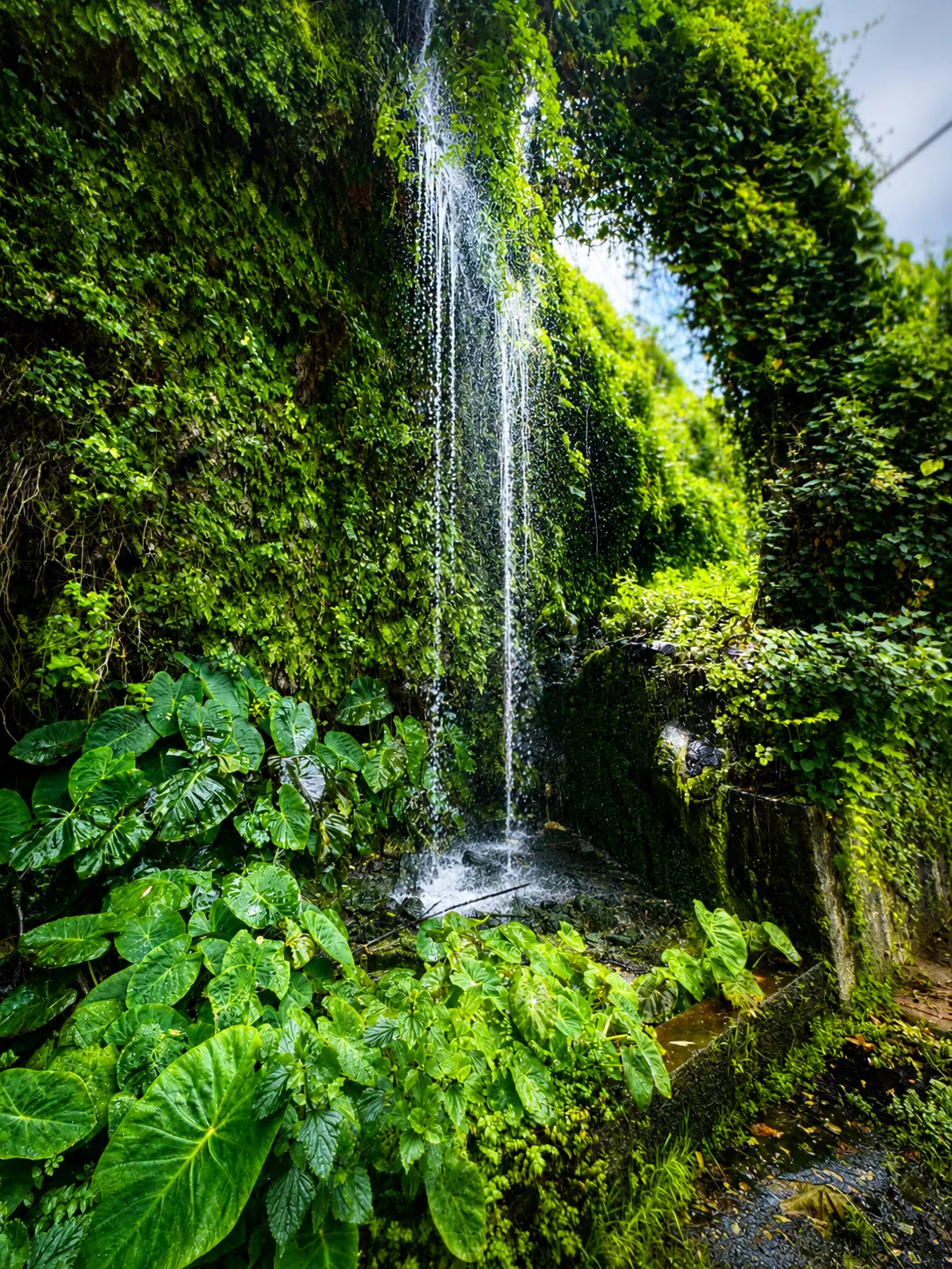 Parada en una cascada escondida — Madeira: Fuerte Pirata, Piedras del Amor y Casco Antiguo en Tuk Tuk