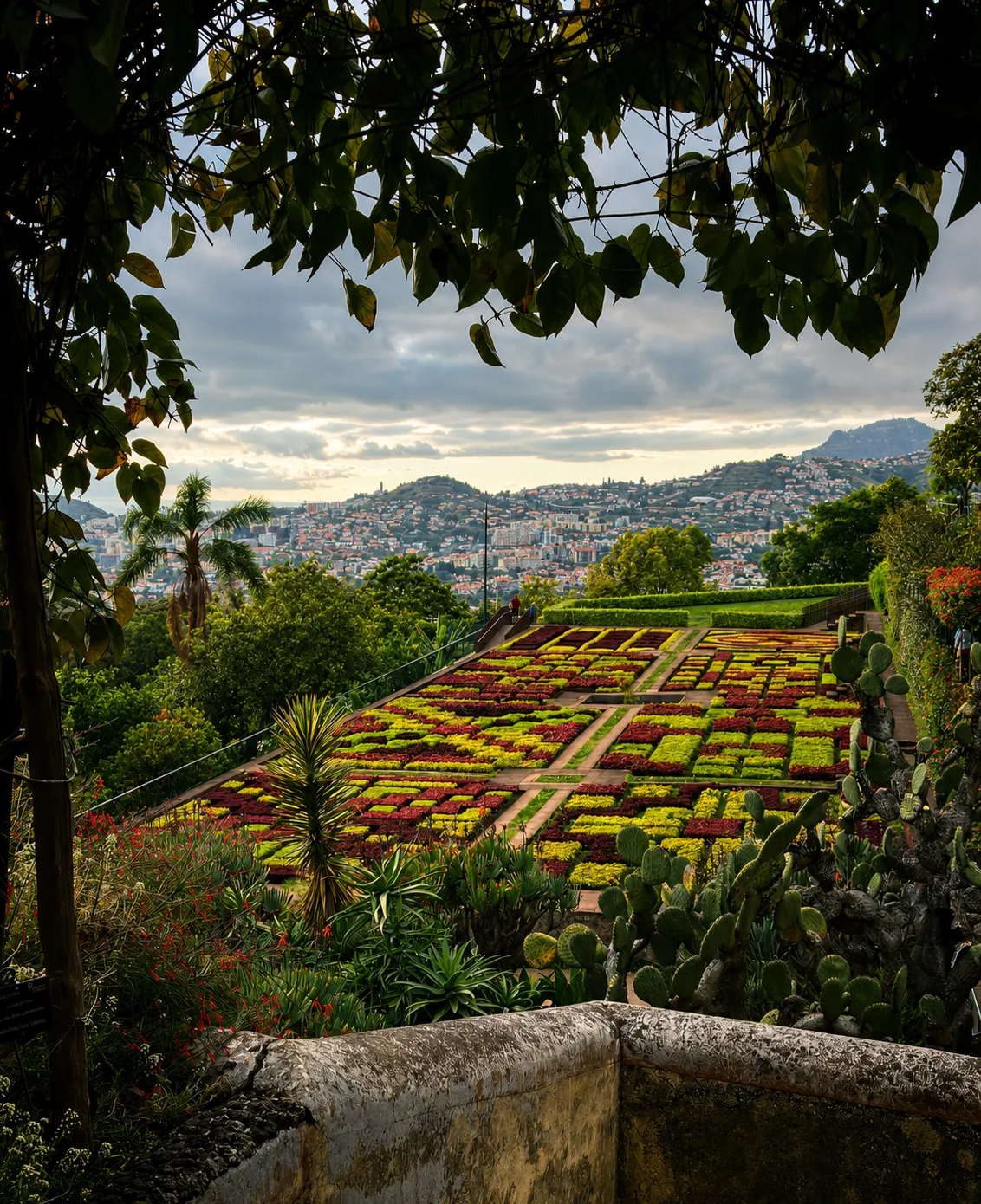 Botanischer Garten Tuk Tuk tour in Madeira