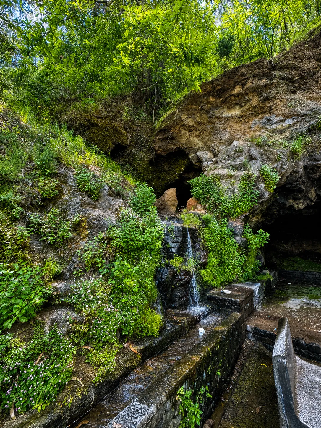 Clear Levada Waters — Nuns Valley Tour