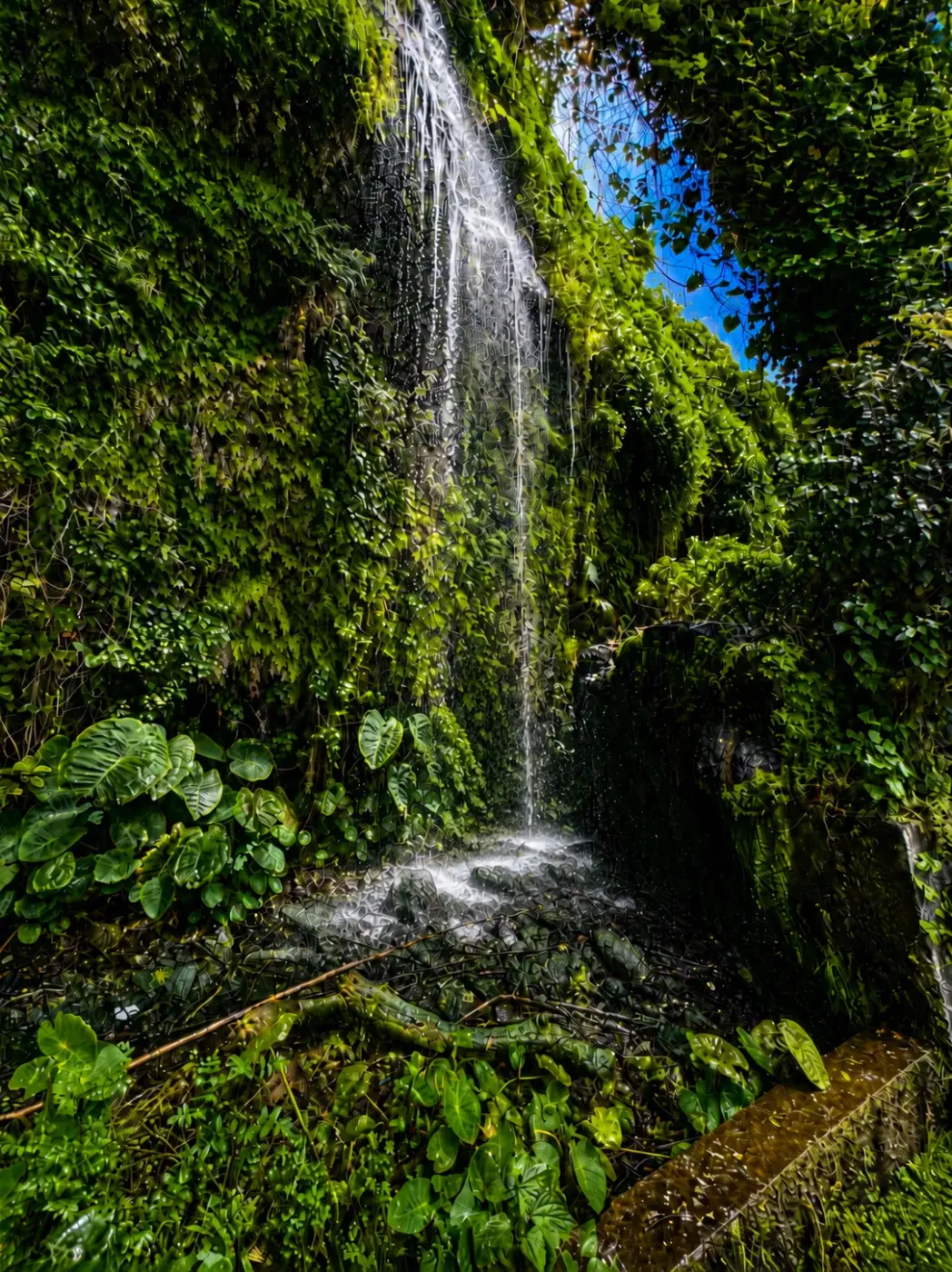Cascada y Miradores en Tuk Tuk por Funchal — tour en tuk tuk por Madeira