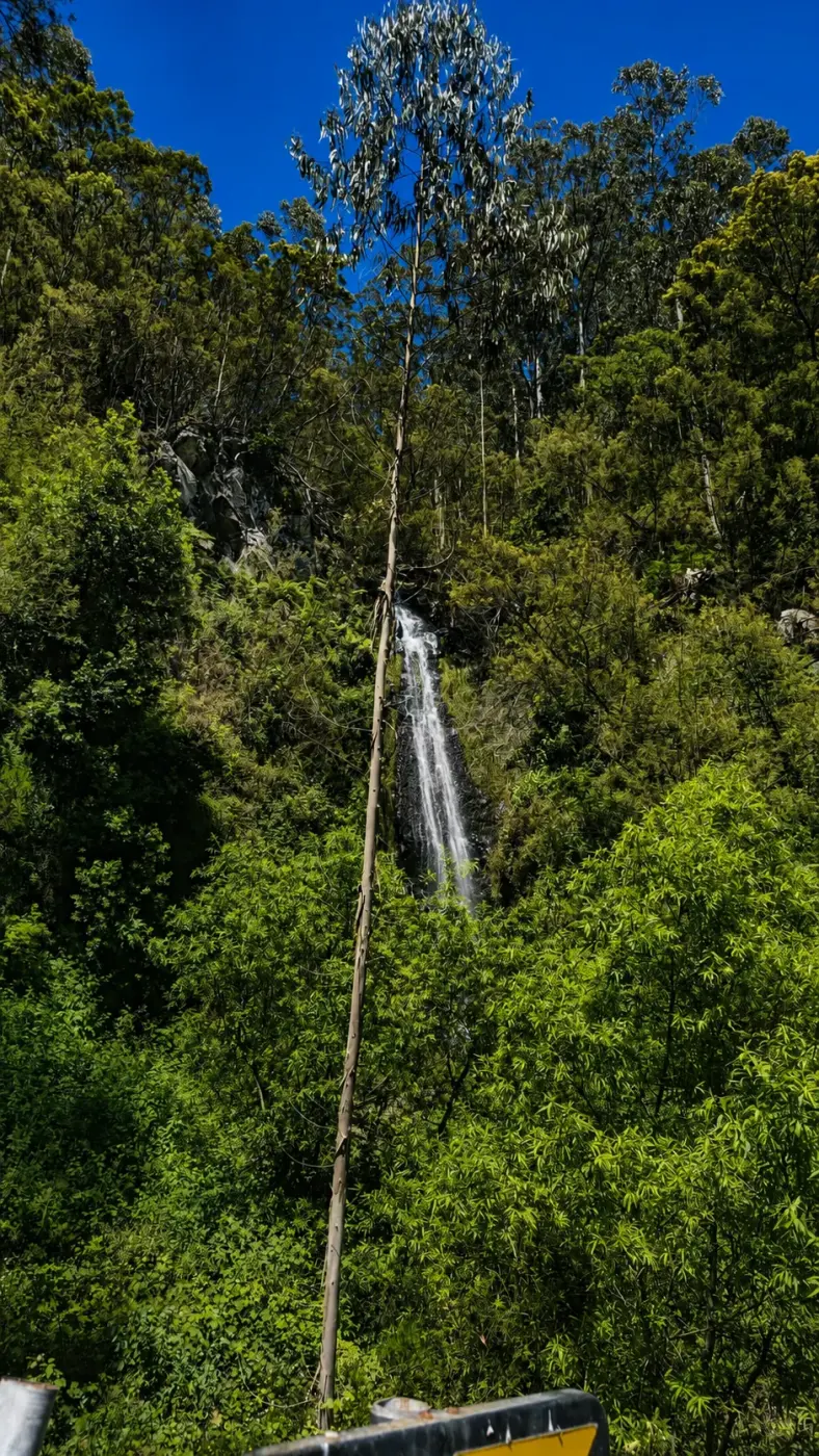 Cascada entre los árboles — Cascada y Miradores en Tuk Tuk por Funchal