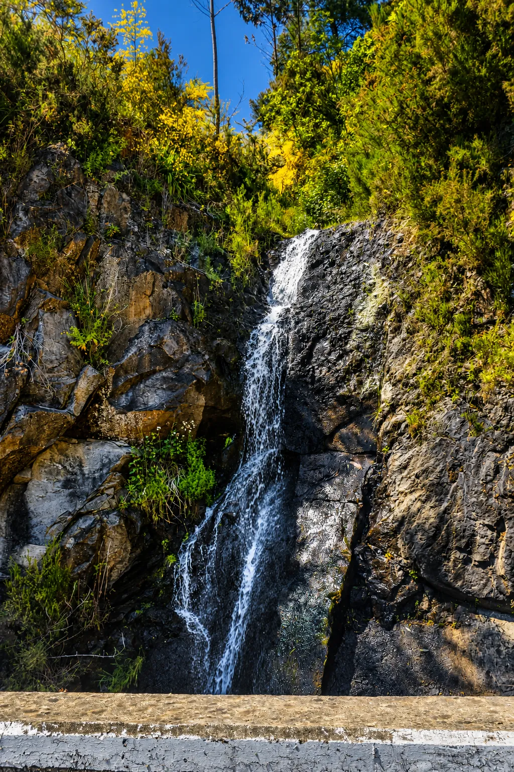 Madeira waterfall tuktuk tour