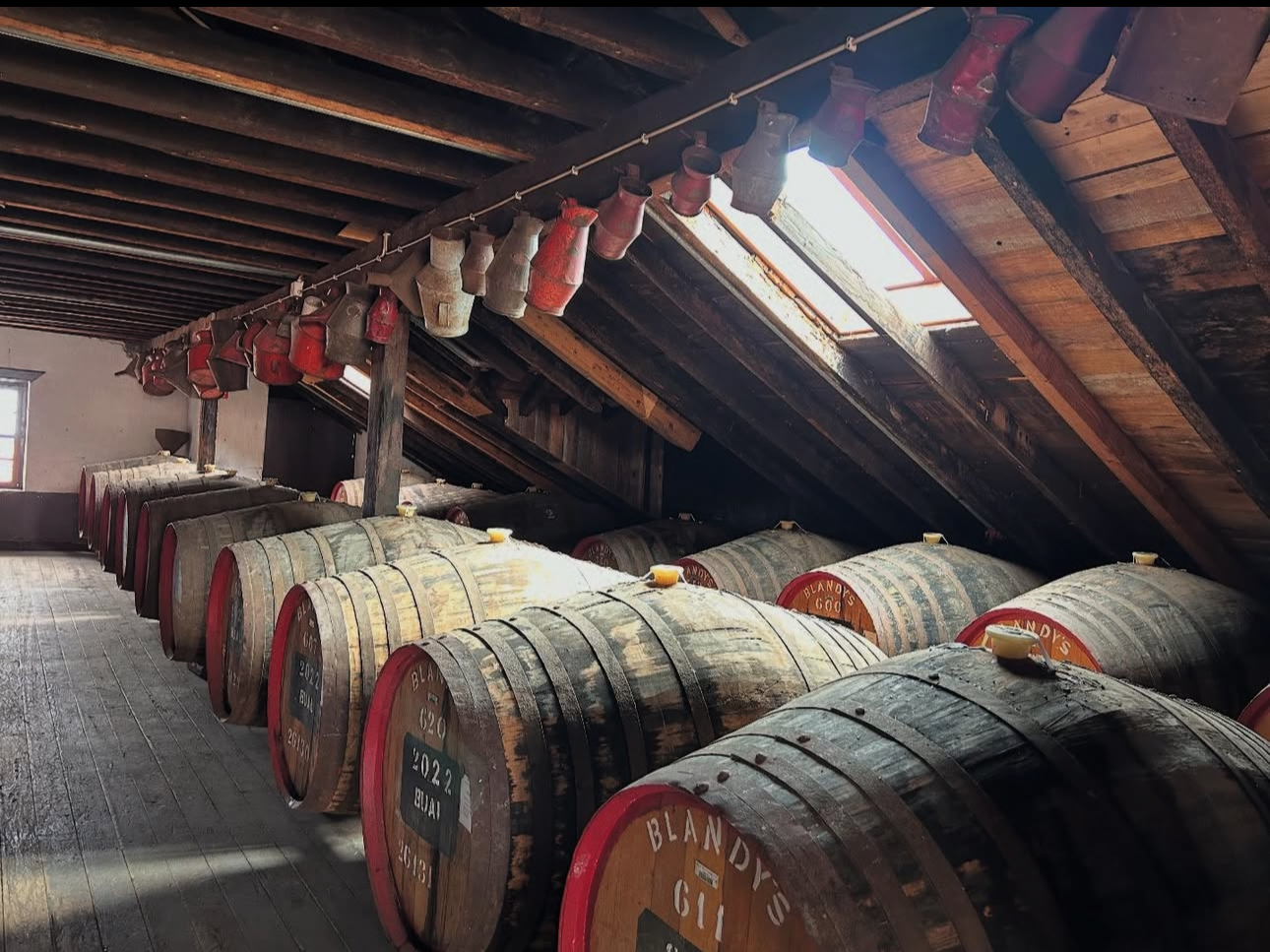 Oliveiras Wine Lodge — Funchal City Tour
